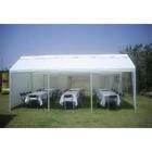 Mini carpa 30 personas